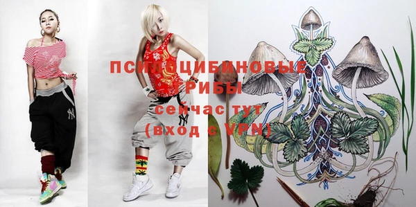 амф Мегион