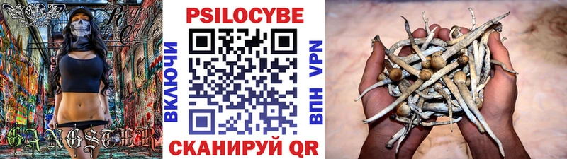 Псилоцибиновые грибы Psilocybine cubensis Первомайск